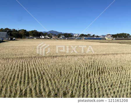 寒川收割後的稻田和丹澤山脈 121161208