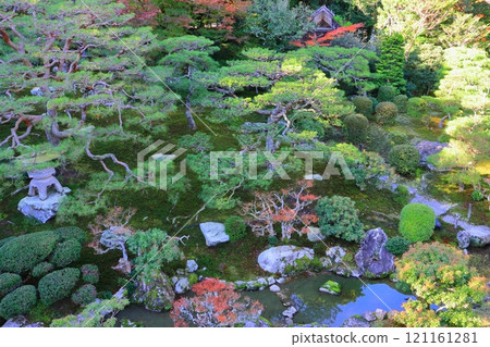 Autumn at Kyu-Chikurin-in (Scenic Garden, Otsu City) 121161281