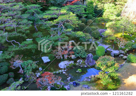 Autumn at Kyu-Chikurin-in (Scenic Garden, Otsu City) 121161282