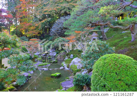 Autumn at Kyu-Chikurin-in (Scenic Garden, Otsu City) 121161287