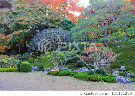 Autumn at Kyu-Chikurin-in (Scenic Garden, Otsu City) 121161290