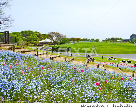 北九州市響灘綠地城市公園綠地公園 121161335