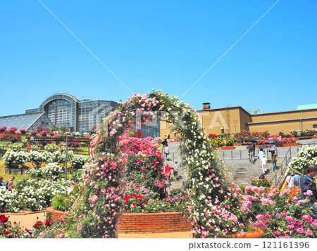北九州響灘綠地綠園玫瑰園 北九州響灘綠地綠園玫瑰園 121161396