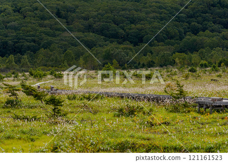 Early autumn's Jodo Plain Early autumn's Jodo Plain 121161523