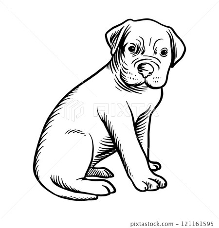 Puppy Perro de Presa Mallorquin - Dog Breed, Puppy Breed Vector File, detailed vector 121161595