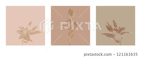 A set of frames of elegant stylized lily illustrations in gold outlines on beige, brown, and olive backgrounds. Perfect for wall art, home decor, textile prints, packaging design, digital applications 121161635