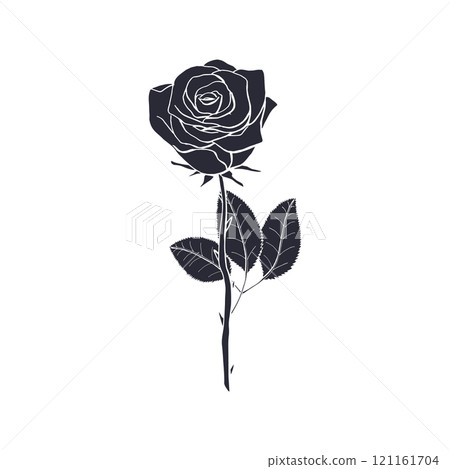 Black silhouette of rose flower isolated on white background Black silhouette of rose flower isolated on white background 121161704