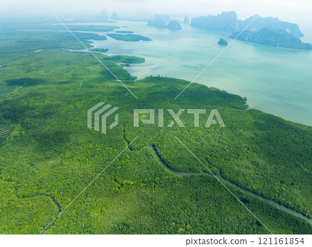 Amazing abundant mangrove forest, Aerial view of forest trees Rainforest ecosystem and healthy environment background, Texture of green trees forest top down, High angle view Amazing abundant mangrove forest, Aerial view of forest trees Rainforest ecosystem and healthy environment background, Texture of green trees forest top down, High angle view 121161854