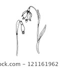 Spring flowers, black and white graphics 121161962
