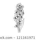 Spring flowers, black and white graphics 121161971