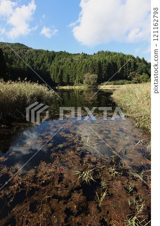 Dragon King Dragon King 121162798