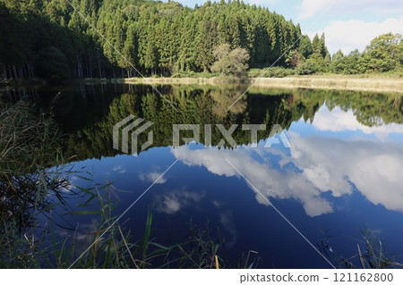 Dragon King Dragon King 121162800