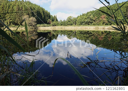 Dragon King Dragon King 121162801