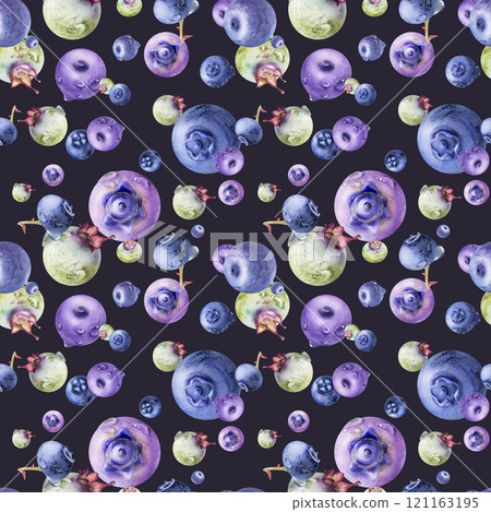 Blueberry blackberry, hand drawn in watercolor, group of flying ripe forest berry with drops, blue and purple. Seamless pattern illustration isolated on dark. Sweet menu, recipe book, farmers market Blueberry blackberry, hand drawn in watercolor, group of flying ripe forest berry with drops, blue and purple. Seamless pattern illustration isolated on dark. Sweet menu, recipe book, farmers market 121163195