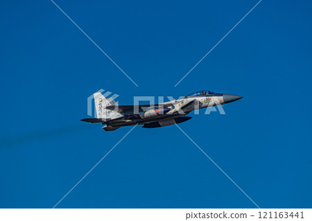 Flying fighter plane F-15J commemorative paint job Japan Air Self-Defense Force 121163441