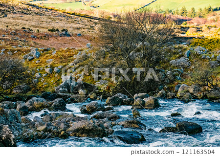 A river flows swiftly, its current interrupted by many smooth, dark rocks. A small tree appears near the water. Green hills extend to the horizon. A river flows swiftly, its current interrupted by many smooth, dark rocks. A small tree appears near the water. Green hills extend to the horizon. 121163504