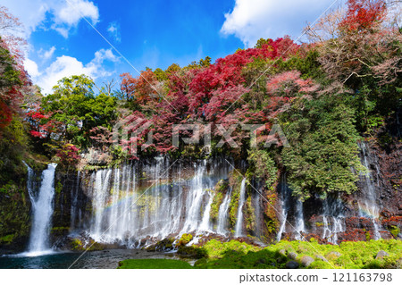 Shiraito Falls in autumn, Fujinomiya City, Shizuoka Prefecture 121163798