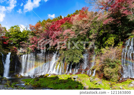 秋葉的白絲瀑布,靜岡縣富士宮市 秋葉的白絲瀑布,靜岡縣富士宮市 121163800