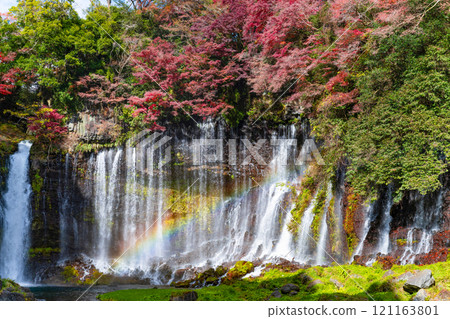 秋葉的白絲瀑布，靜岡縣富士宮市 121163801