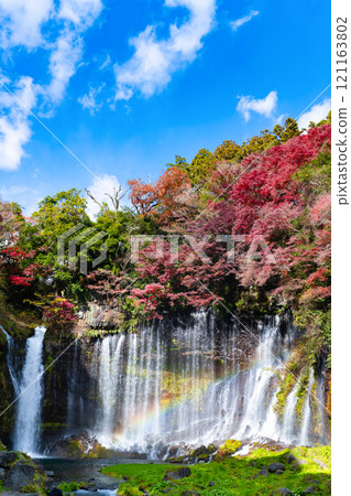 Shiraito Falls in autumn, Fujinomiya City, Shizuoka Prefecture 121163802