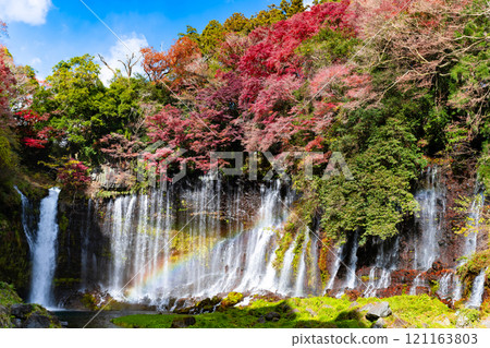 Shiraito Falls in autumn, Fujinomiya City, Shizuoka Prefecture 121163803