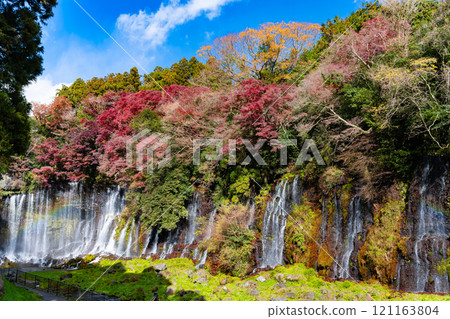 Shiraito Falls in autumn, Fujinomiya City, Shizuoka Prefecture Shiraito Falls in autumn, Fujinomiya City, Shizuoka Prefecture 121163804