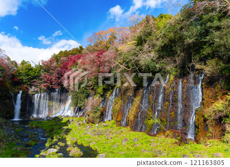 Shiraito Falls in autumn, Fujinomiya City, Shizuoka Prefecture Shiraito Falls in autumn, Fujinomiya City, Shizuoka Prefecture 121163805