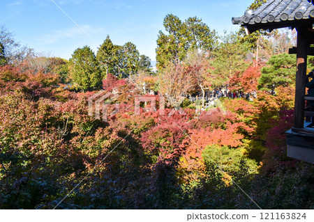[京都的秋天觀光]東福寺_紅葉地毯與傳統寺廟[名勝] 121163824