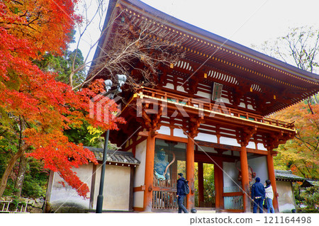 Muroji Temple and Niomon Gate in autumn (Uda City, Nara Prefecture) 121164498