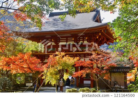 Muroji Temple and Niomon Gate in autumn (Uda City, Nara Prefecture) 121164500