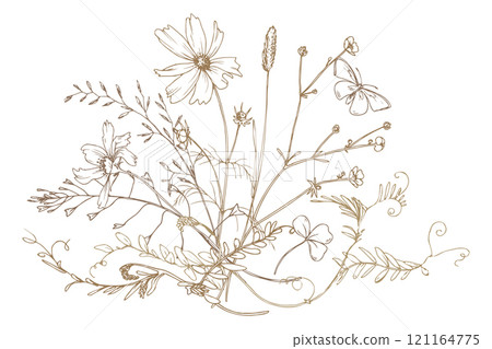 Field, meadow, wild flowers and herbs clover, cosmos, chamomile and bumblebee. Line art is a simple hand-drawn illustration in beige, ochre, brown ink. Bouquet flowers vector EPS Field, meadow, wild flowers and herbs clover, cosmos, chamomile and bumblebee. Line art is a simple hand-drawn illustration in beige, ochre, brown ink. Bouquet flowers vector EPS 121164775