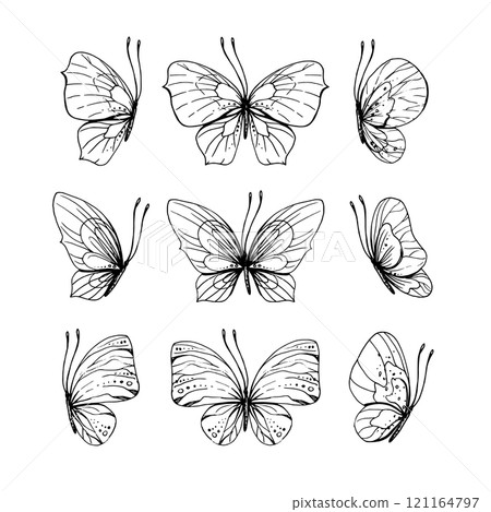 Butterflies flying, delicate line art, clip art. Graphic illustration hand drawn in black ink. Set of isolated objects EPS vector 121164797