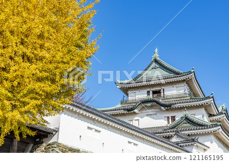 和歌山縣和歌山市,秋葉季節,天氣晴朗的和歌山城塔(秋天) 和歌山縣和歌山市,秋葉季節,天氣晴朗的和歌山城塔(秋天) 121165195