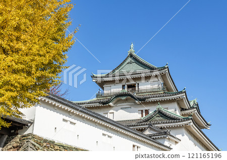 和歌山縣和歌山市,秋葉季節,天氣晴朗的和歌山城塔(秋天) 和歌山縣和歌山市,秋葉季節,天氣晴朗的和歌山城塔(秋天) 121165196
