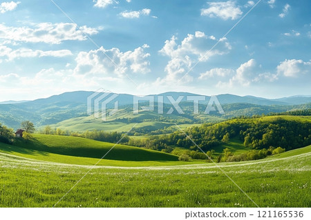 panorama of beautiful countryside of romania. sunny afternoon. wonderful springtime landscape in mountains. grassy field and rolling hills. rural scenery panorama of beautiful countryside of romania. sunny afternoon. wonderful springtime landscape in mountains. grassy field and rolling hills. rural scenery 121165536