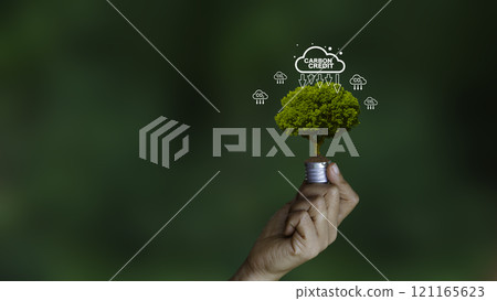 Carbon fixation fights nature. Carbon credit market and net zero exchange trading concept . carbon footprint to limit global warming and climate change. Net zero and green renewable energy. 121165623