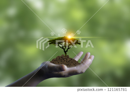 young plant green tree at hand on blur green nature background. concept eco earth day. Carbon credit market. Trading to offset greenhouse gas emissions into the environment. 121165781