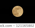 冷月 121165802