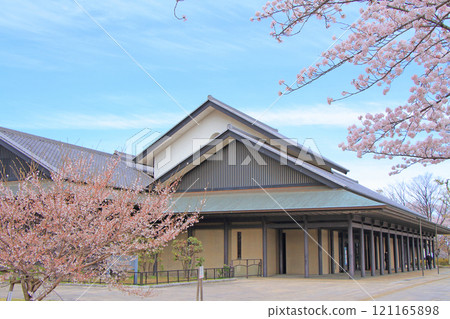 Nagoya Noh Theatre and cherry blossoms in full bloom, Nagoya, Aichi Prefecture 121165898