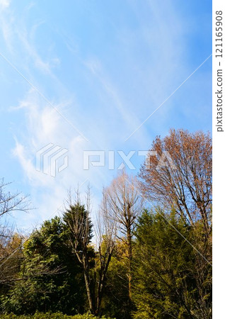 White clouds in the blue sky in autumn 121165908