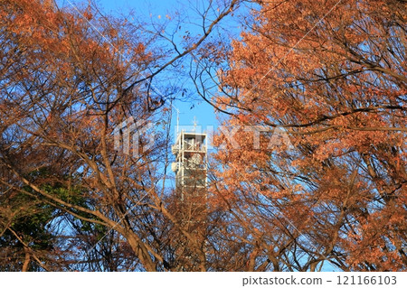 東京千代田區北之丸公園的楓葉 121166103