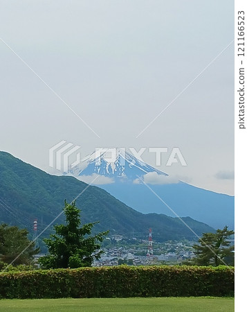 A beautiful contrast between Mt. Fuji and the fresh green mountains: a refreshing title that matches a photo taken in the season of fresh greenery 121166523
