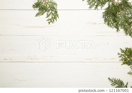 White background with thuja branches. Place for text. Flat lay, White background with thuja branches. Place for text. Flat lay, 121167001