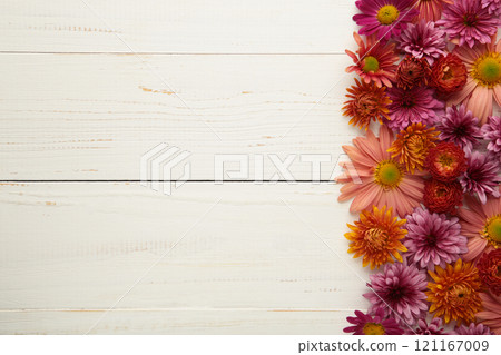 Pink flowers on white wooden background. Flower composition 121167009
