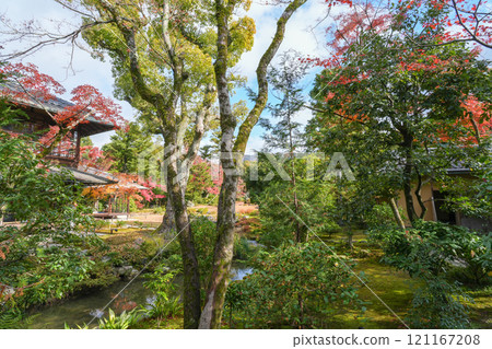 Murin-an, the setting for a historic Russian diplomatic meeting (a masterpiece of modern Japanese gardens and a nationally designated place of scenic beauty) 121167208