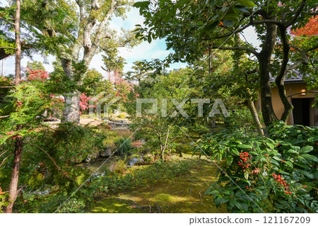 Murin-an, the setting for a historic Russian diplomatic meeting (a masterpiece of modern Japanese gardens and a nationally designated place of scenic beauty) 121167209