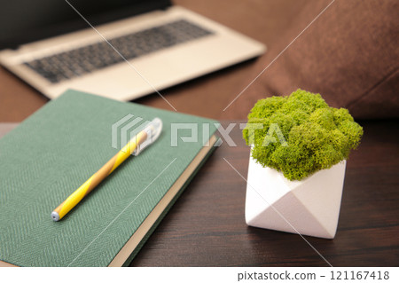 Notebook with stabilized moss on brown background. 121167418
