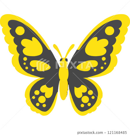 Wildlife Wings Insect Fragility Nature 121168485