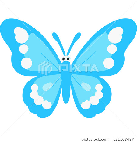 Butterfly Summer Shadows Insect Color Colorful Wanderers 121168487