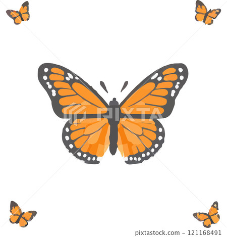 Butterfly Butterfly House Insect Flower Nature 121168491